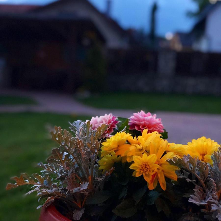 Penzion Bado Stará Lesná エクステリア 写真